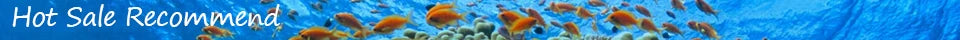 SUNSUN Pre-Filter Biochemical Fish Tank Filter Barrel Ultra-quiet Transparent External Aquarium Filter Bucket